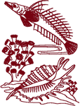 Redwork Sealife #5 Embroidery Design