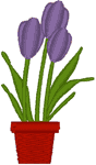 Tiny Potted Tulips Embroidery Design