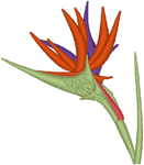 Bird of Paradise Embroidery Design