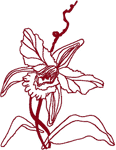 Redwork Orchid Embroidery Design