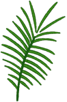 Palm Frond Embroidery Design