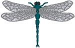 Other Flying