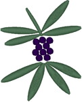 Purple Berries Embroidery Design