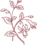 Redwork Fuchsia Accent Embroidery Design