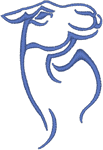 Camel Outline Embroidery Design