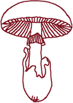 Redwork Mushroom Embroidery Design