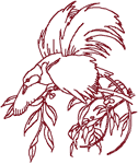 Redwork Bird of Paradise Embroidery Design