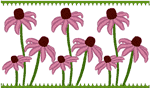 Purple Coneflower Border Embroidery Design