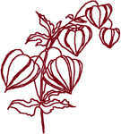 Redwork Chinese Lanterns Embroidery Design