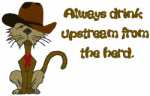 Cowboy Cat Embroidery Design