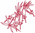 Redwork Machine Embroidery Designs: Fuchsia