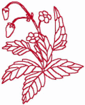 Redwork Embroidery Designs: Wild Strawberries
